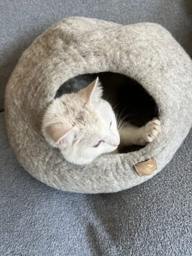 Customer photo review of Woolnest Premium