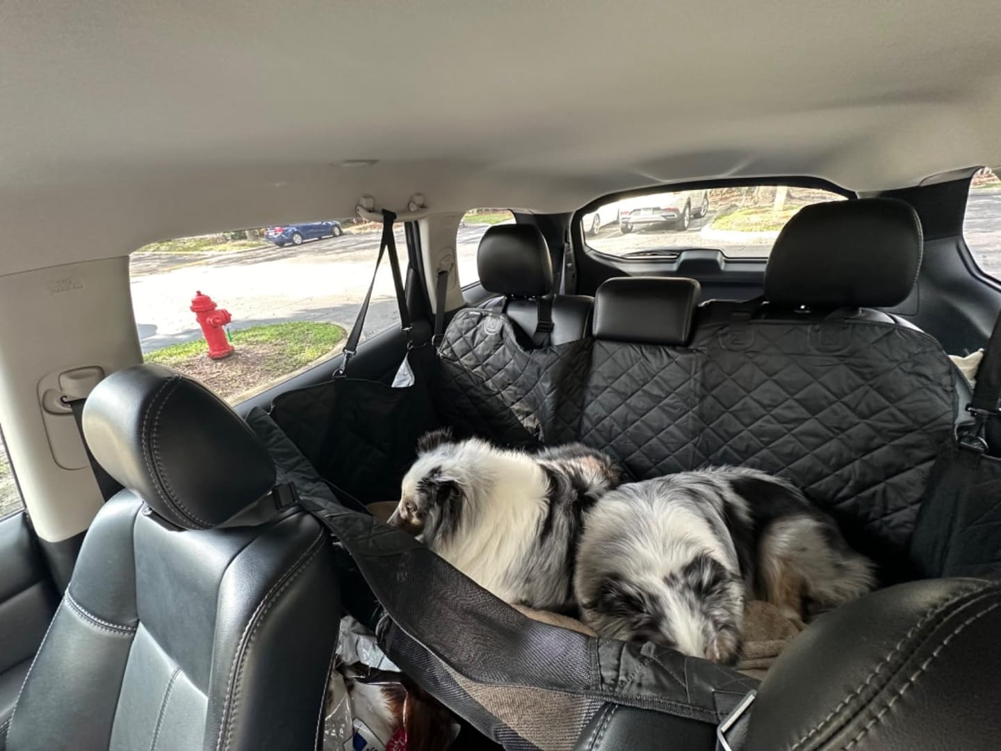Customer photo review of FurGuard™: Hard Bottom Extender