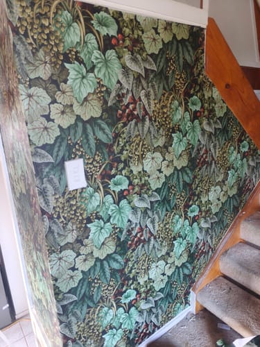 Customer photo review of Cascading Garden - Lush Botanical Wallpaper - Green