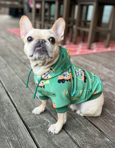 Customer photo review of Golf Pup Dog Hoodie