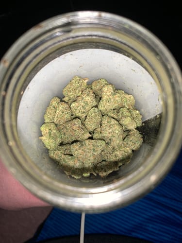 Customer photo review of PK Runtz - Exotic THCA (Smalls)