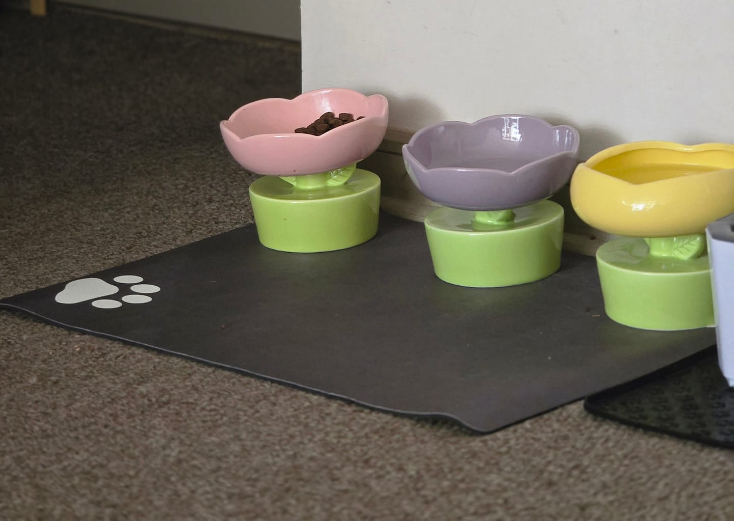 Customer photo review of Mat Absorbente para alimentación