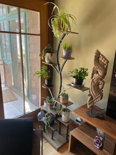 Customer photo review of 63" Indoor Plant Stand with Grow Lights