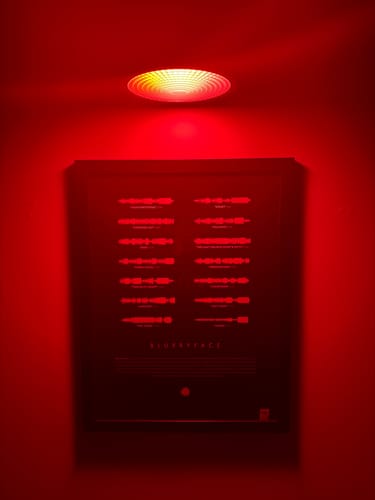 Customer photo review of "Blurryface"