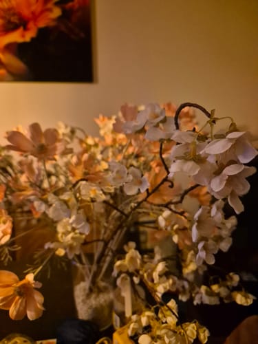 Customer photo review of Zijden Bloesem - Wit (3stengels)