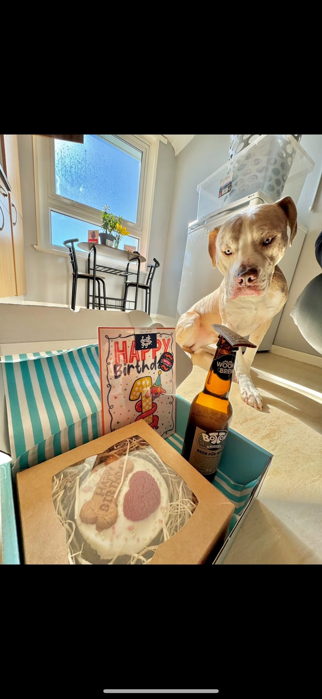 Customer photo review of Scoff Edible Dog Card - Happy 1st Birthday
