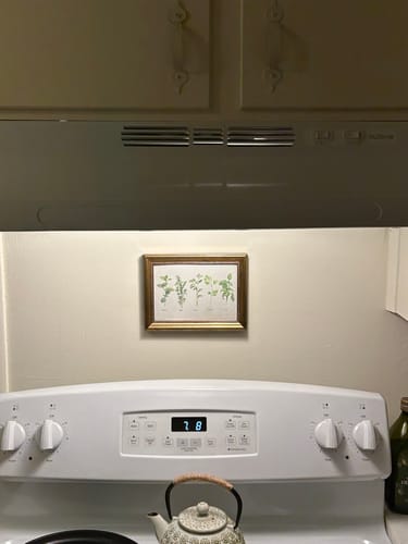 Customer photo review of 5x7 Giclee Fine Art Prints