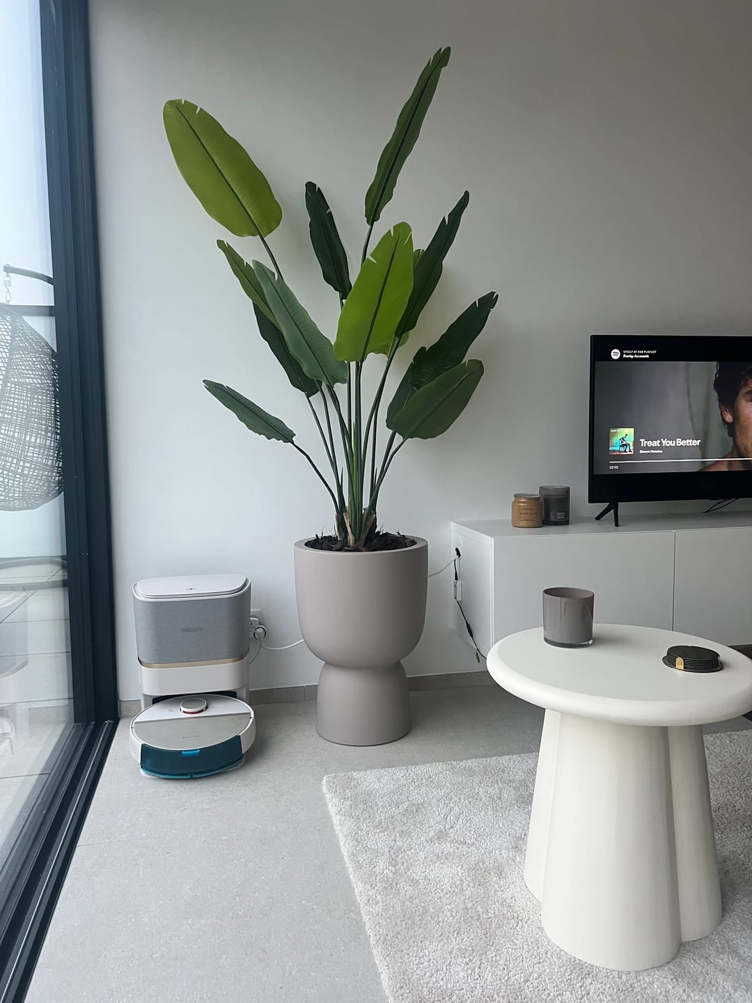 Customer photo review of Strelitzia Kunstplant 160cm