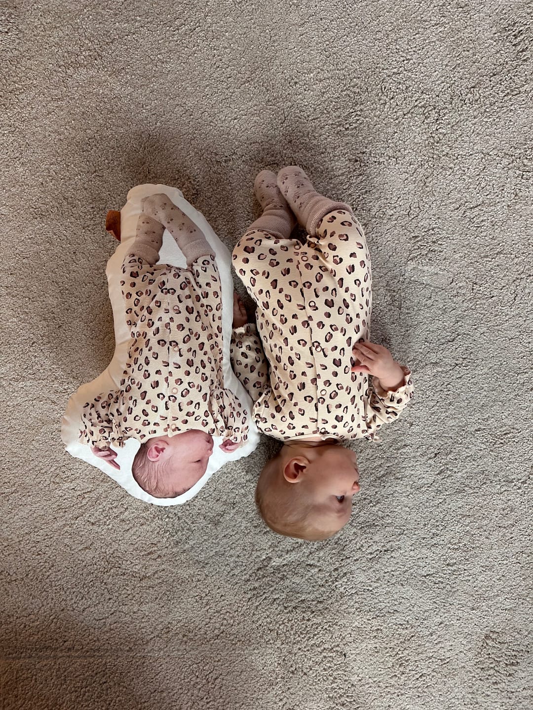 Customer photo review of Foto-Freigabe
