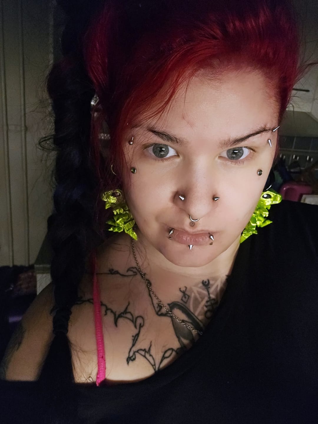 Customer photo review of Dinosaurus