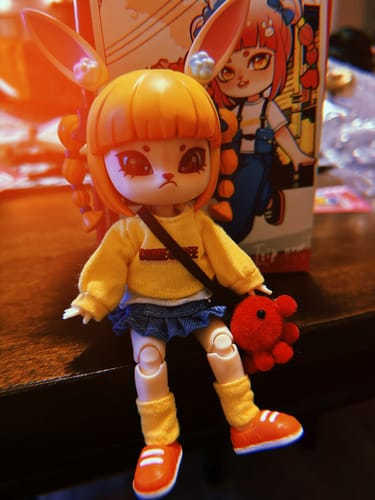 Customer photo review of Bonnie The Journey Of Streets Action Figure BJD Blind Box