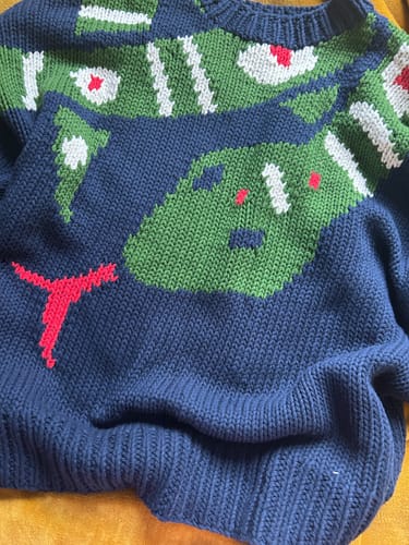 Customer photo review of The Snake Jumper