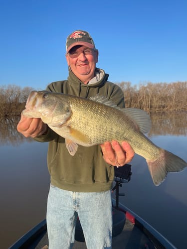 Customer photo review of Daiwa Procyon MQ LT 3000D-XH