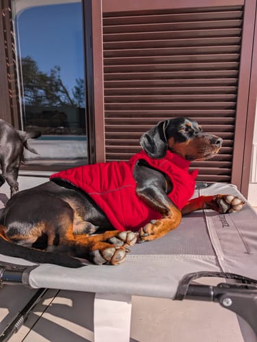 Customer photo review of WarmShield Water-Resistant Jacket - Red