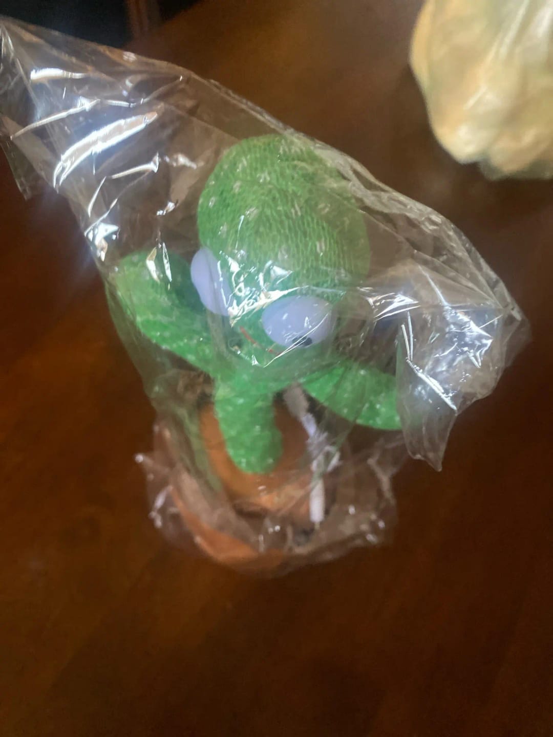 Customer photo review of Plush Cactus Toy 120 Song Speaker — Green | KIMLUD