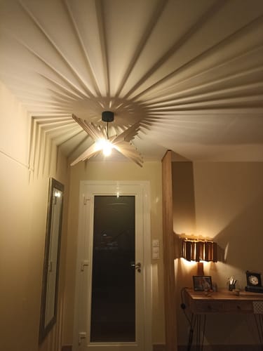 Customer photo review of Albatros | Suspension