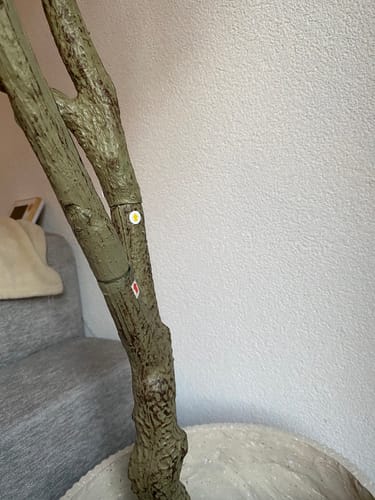 Customer photo review of Kunst Olijfboom 210cm