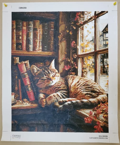 Customer photo review of The Book Nook – Paint by Numbers