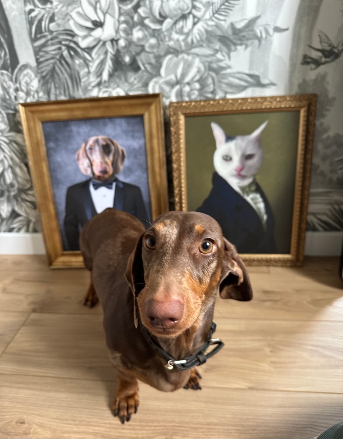 Customer photo review of Portrait Chien Mr Bond