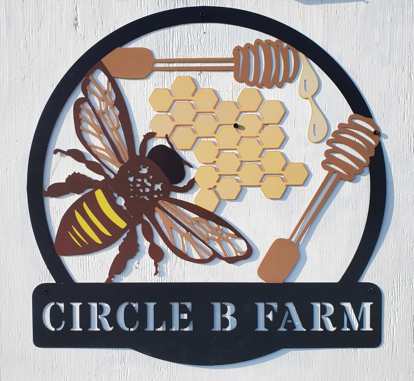 Customer photo review of Personalized Painted Metal Bee Art