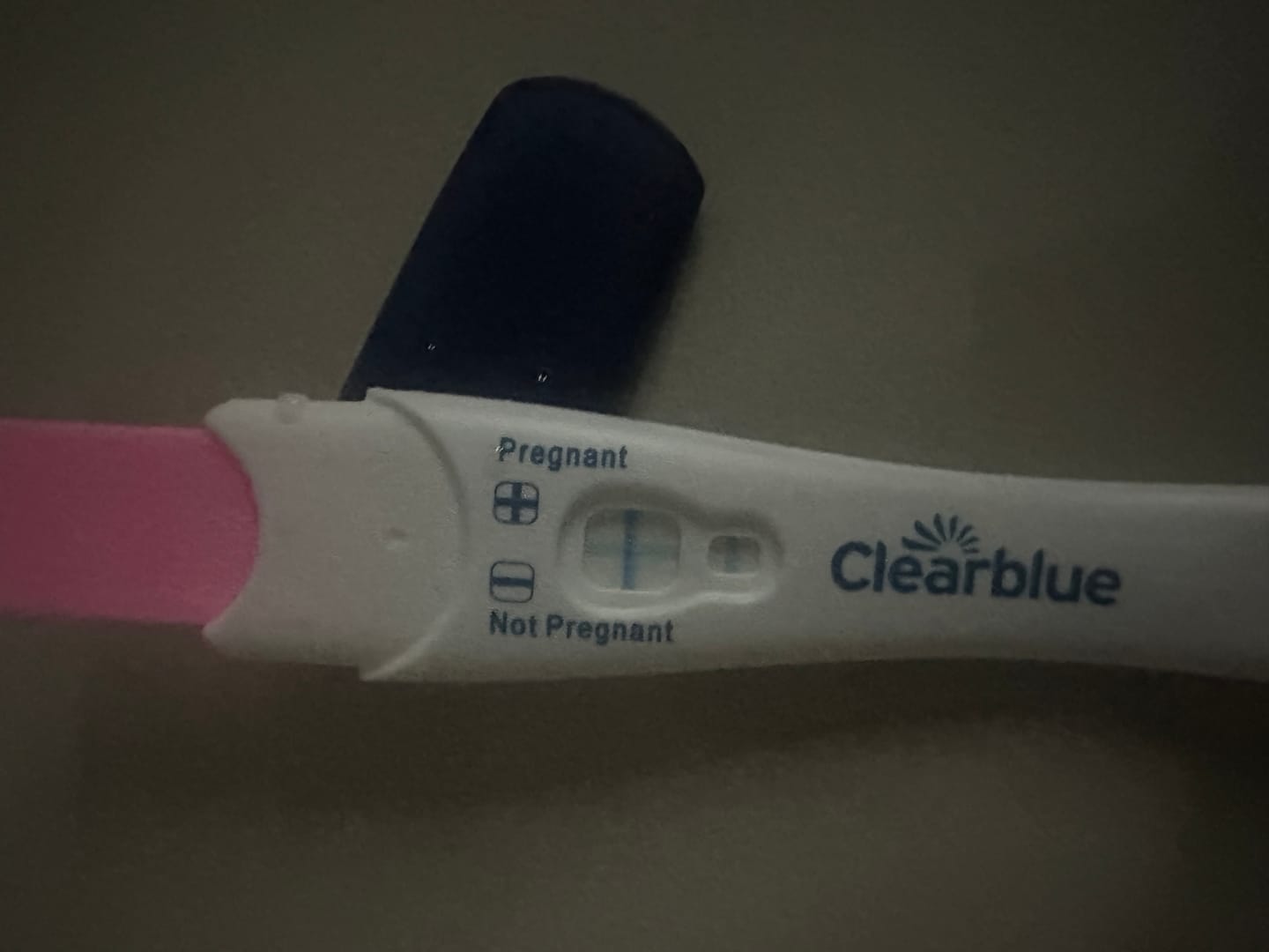 Customer photo review of Fertility Supplement