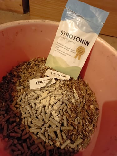 Customer photo review of Strotonin Horse Support