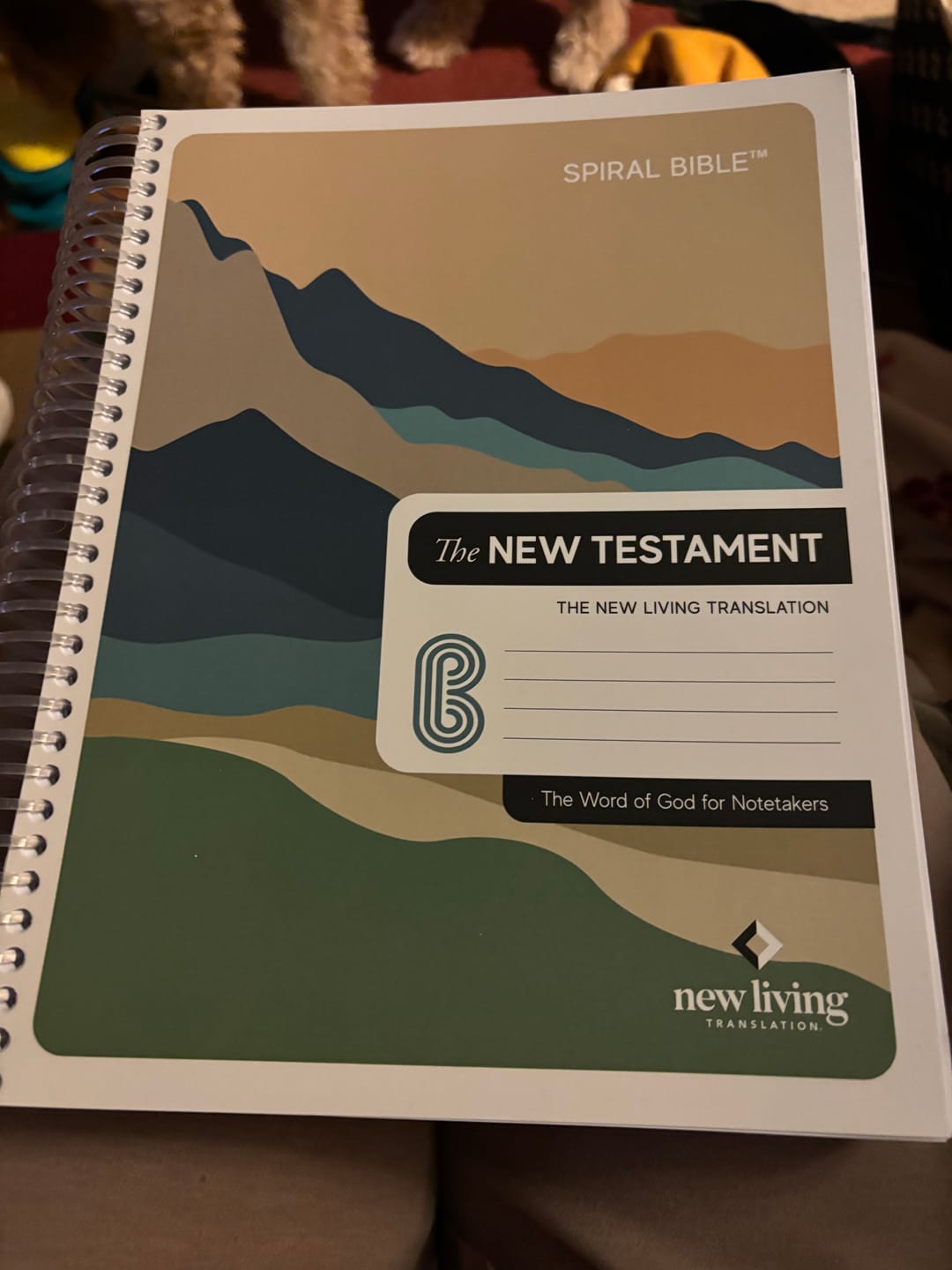 Customer photo review of Spiral Bible™ Tabs