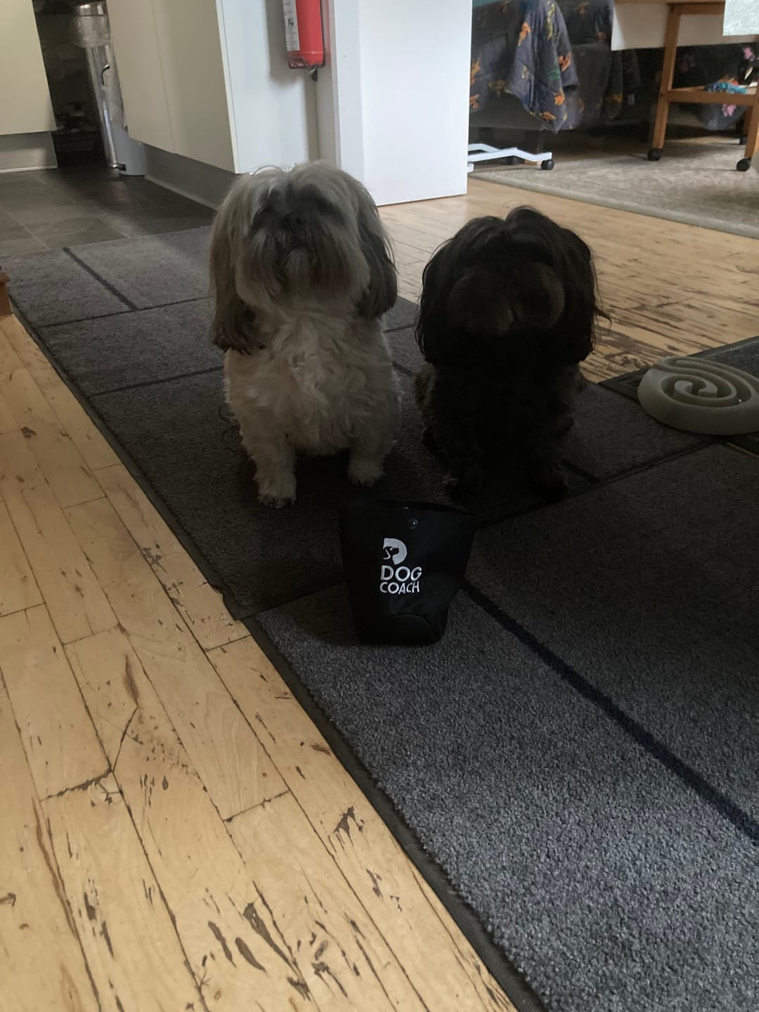 Customer photo review of Onesize Godbidslomme I Model Basis