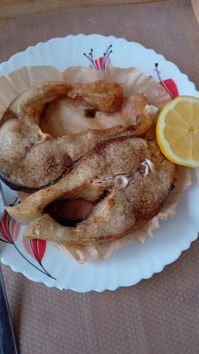 Customer photo review of Air Fryer Novio Grill & Fry