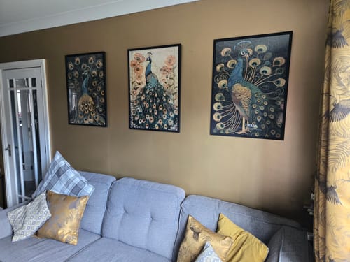 Customer photo review of Luxe Peacock Set of 2 Prints