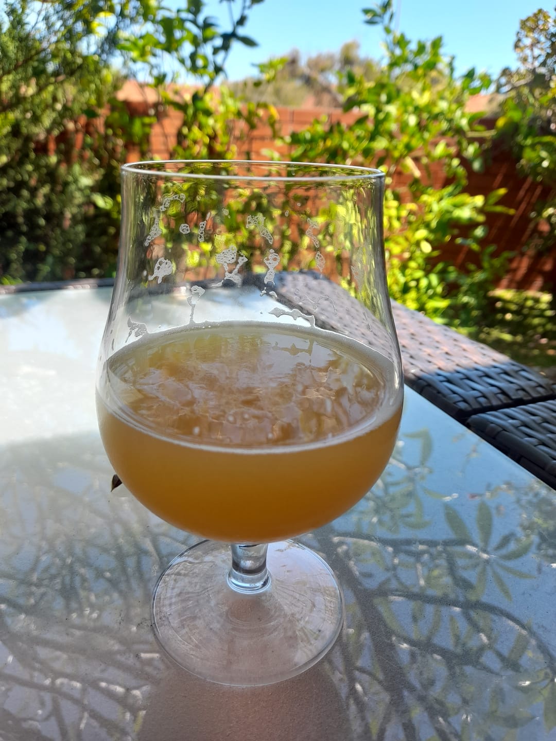 Customer photo review of Beerfarm Hazy Pale