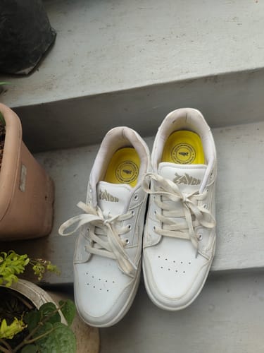 Customer photo review of ZEUS Moonlight White