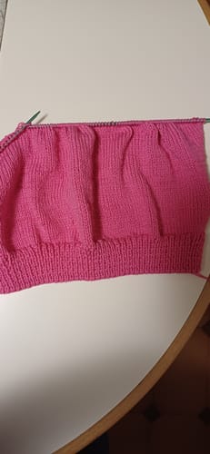 Customer photo review of MISTRAL