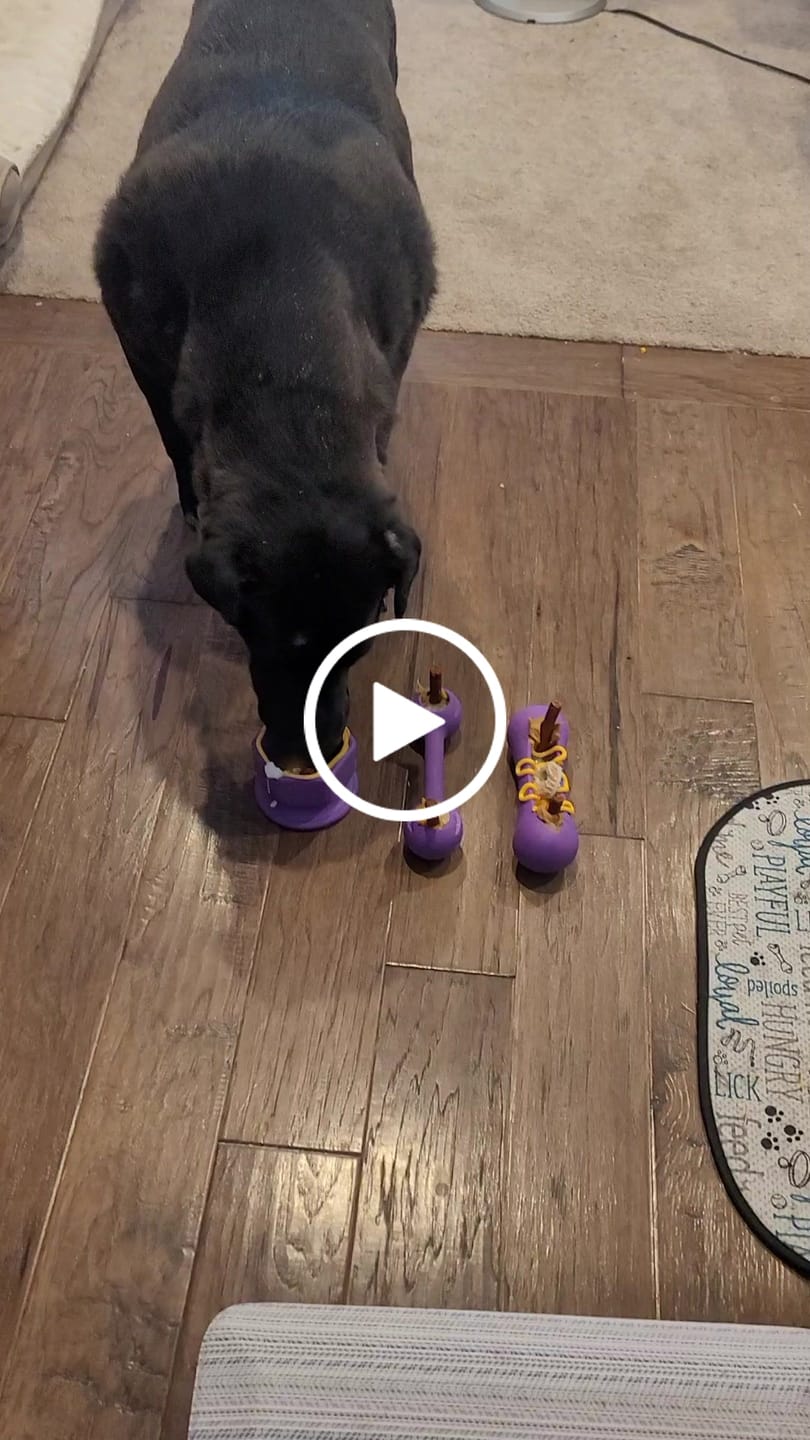 Customer video review of Freezstick - Indestructible Enrichment Chew