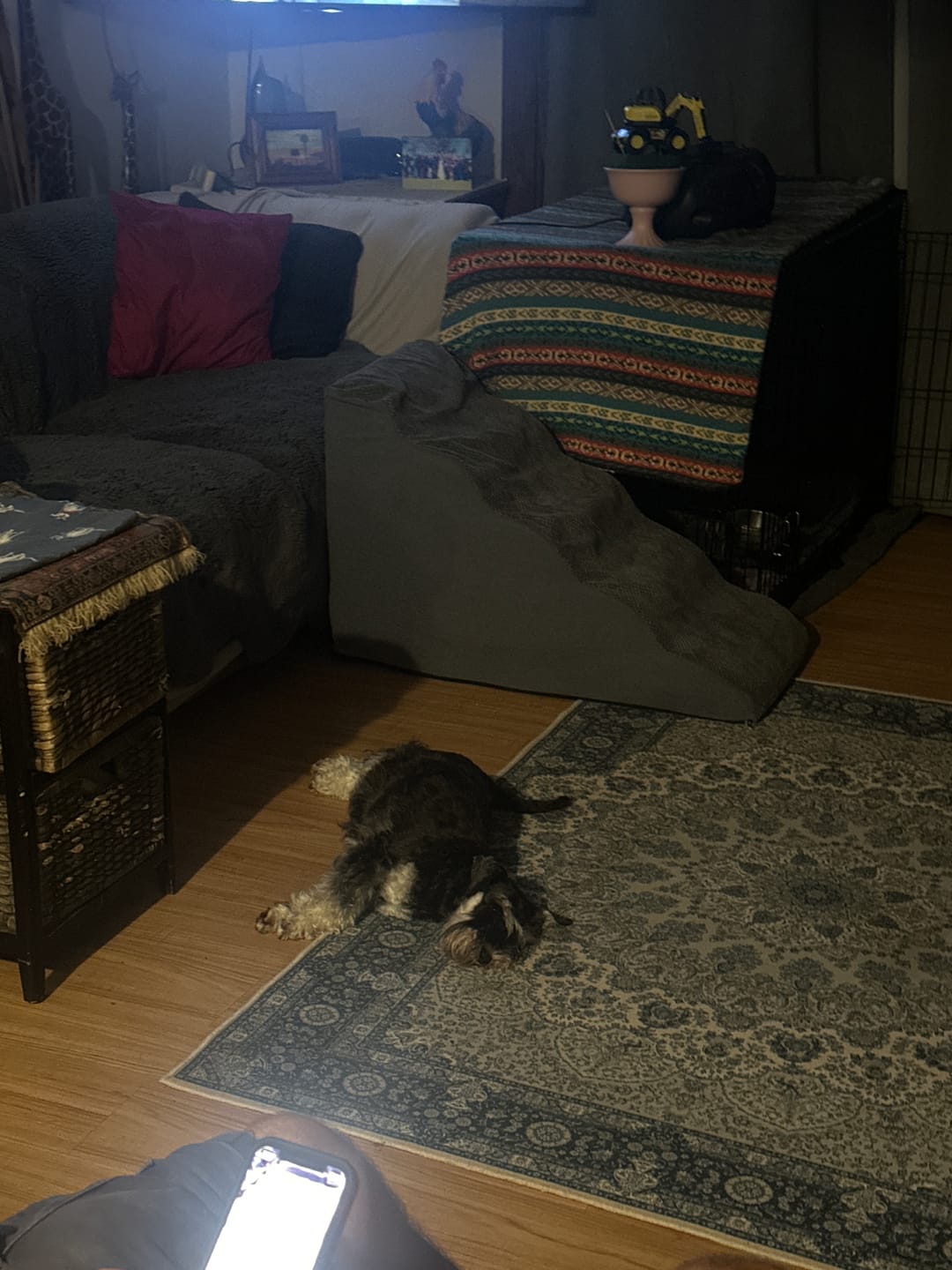 Customer photo review of Pawz Pet Steps Dog Stairs Dog Ramp High Density Foam Non-Slip for Bed Sofa