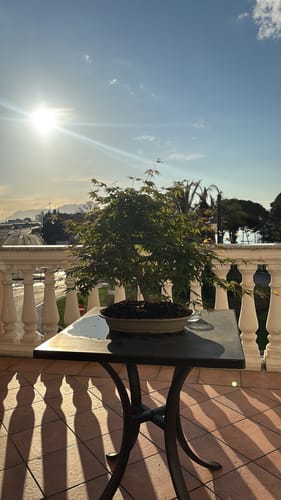 Customer photo review of ATOMIC PACK CB®