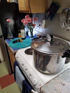 Customer photo review of FGI Ace of Spades Premium Myco Grow Bags. 10 Pack.