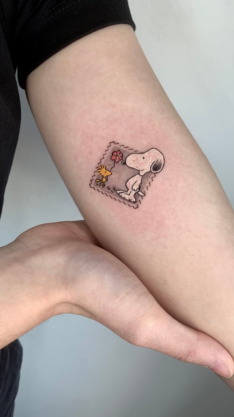 Customer photo review of PEPAX Lance Tattoo Cartridge Needles Round Shader (20pcs per box)
