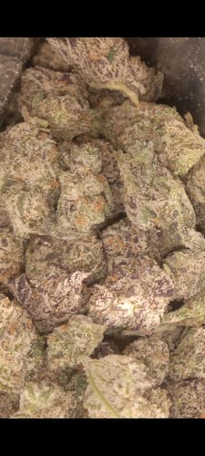 Customer photo review of Jet Fuel Gelato - 14 Grams - Minis (Indica)