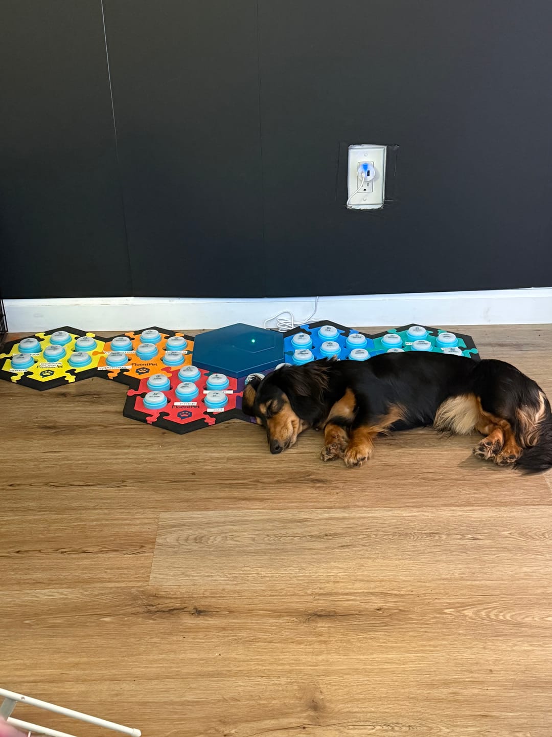 Customer photo review of Connect Button Multi-Packs