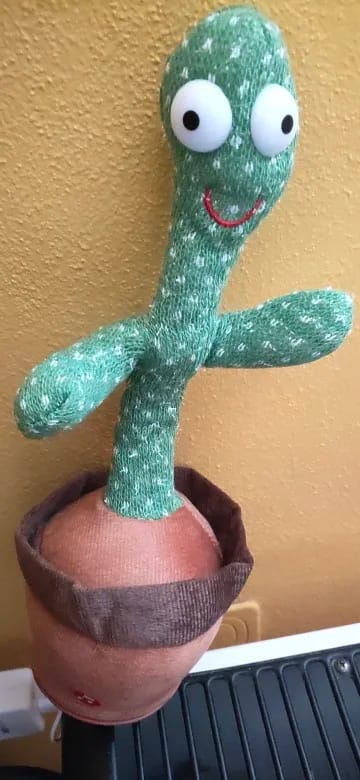 Customer photo review of Plush Cactus Toy 120 Song Speaker — Green | KIMLUD