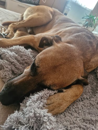 Customer photo review of Easy Squeezy