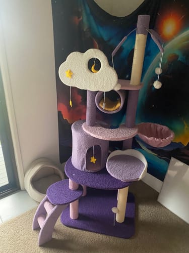 Customer photo review of Fantasy Series Climbing Frame Cat Tree - Dreamland (Height 165cm)