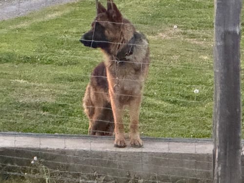 Customer photo review of Hoka Cielo X1 2.0