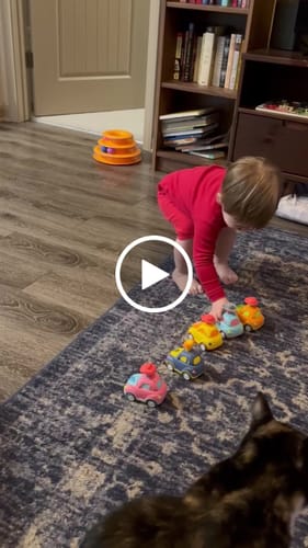 Customer video review of KidCruisers