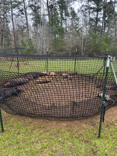 Customer photo review of Pig Brig Trap System