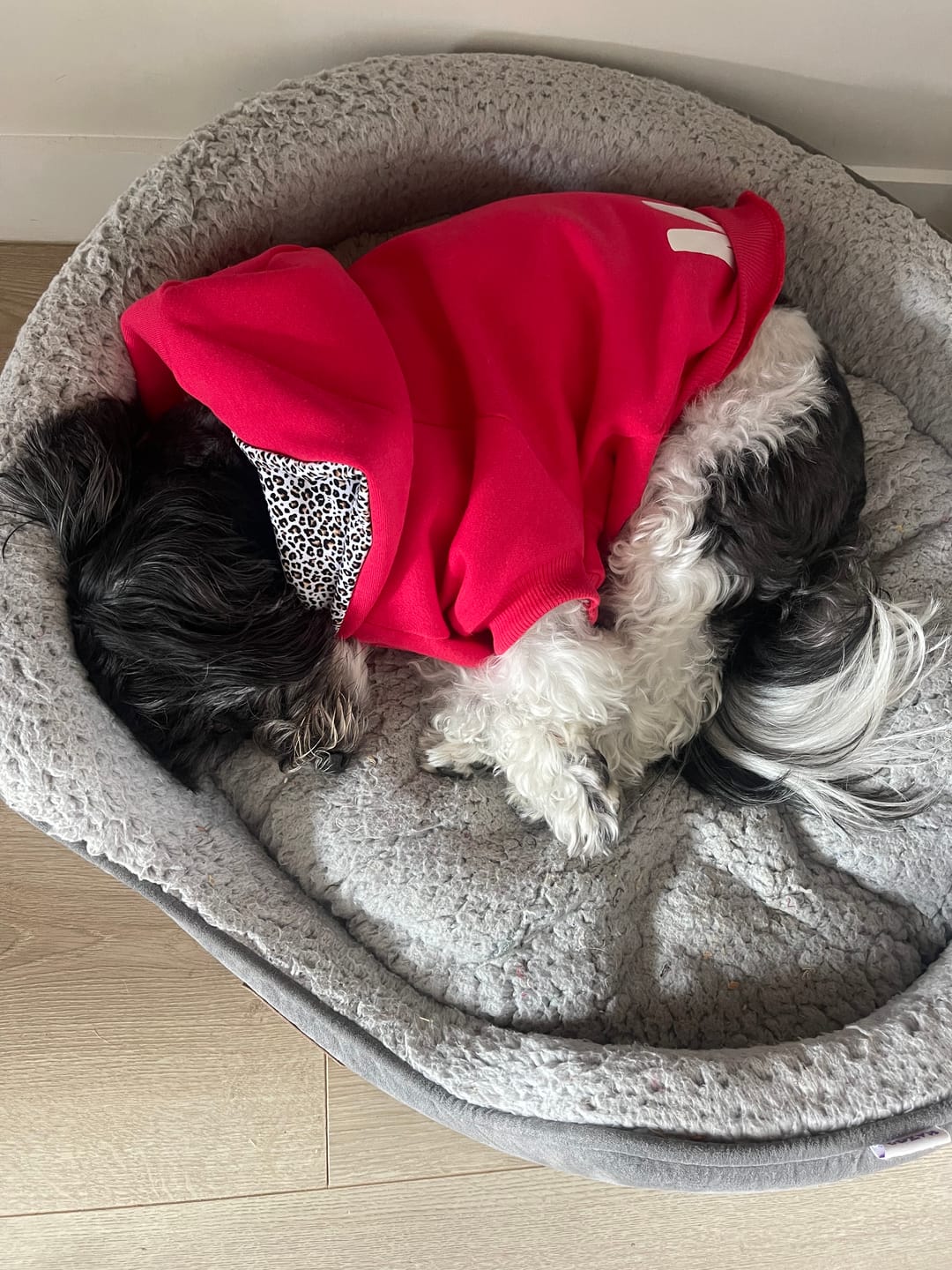 Customer photo review of Hoodie - Henry Bright Red