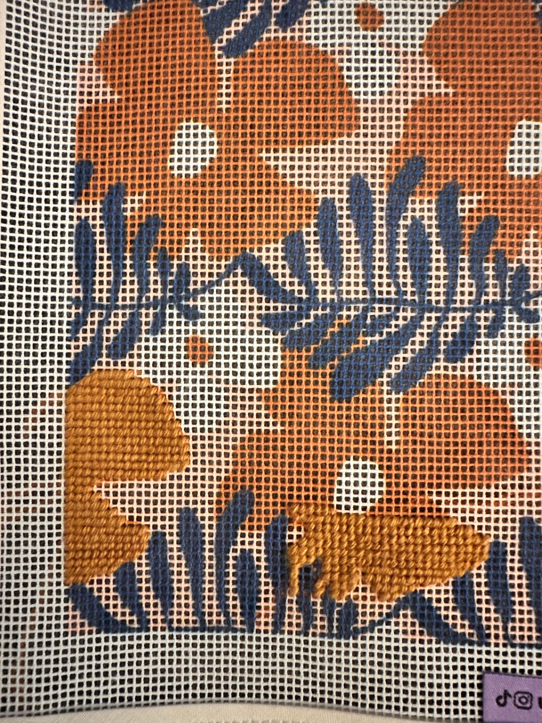 Customer photo review of All Eyes On You Needlepoint Sunglasses Case Kit