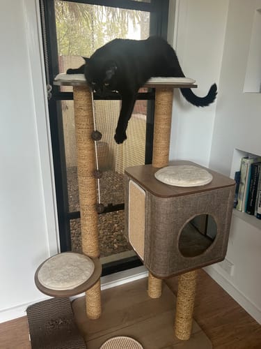 Customer photo review of 1 Month Supply – 2 Cat