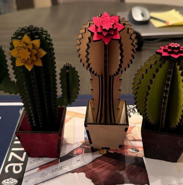 Customer photo review of Wooden cactus table decor laser cut svg file